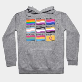 Retro LGBTQIA Pride Flags Hoodie